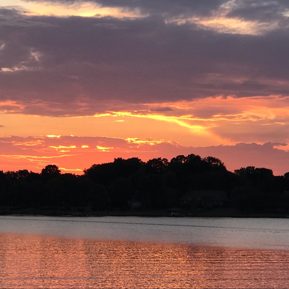 Meet your Posher, Donna